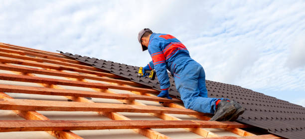 Best Asphalt Shingle Roofing  in East Helena, MT